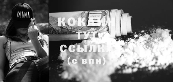 спайс Няндома