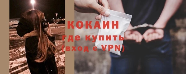 спайс Няндома