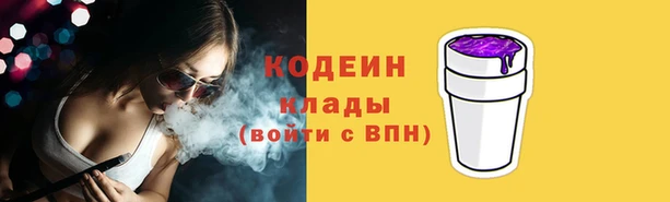 спайс Няндома