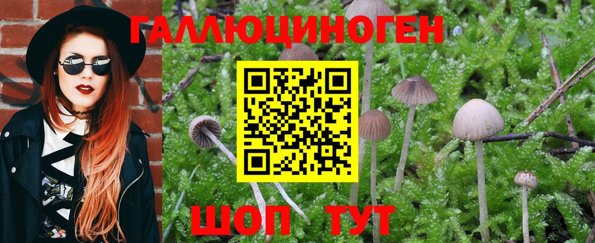 Карталы  Галлюциногенные грибы MAGIC MUSHROOMS  Вход с VPN 